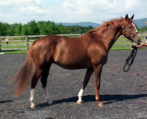 Precious at 18