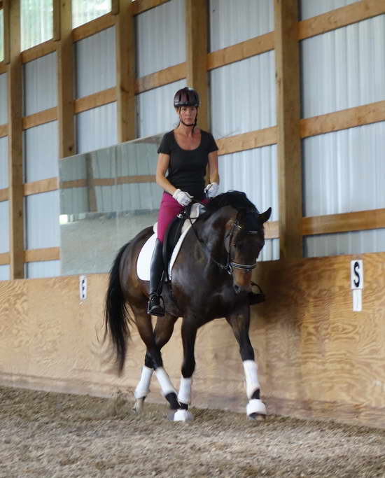 Rhosie ~ Todd Bryan Clinic June 2013