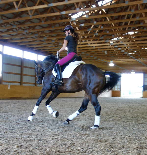 Rhosie ~ Todd Bryan Clinic June 2013