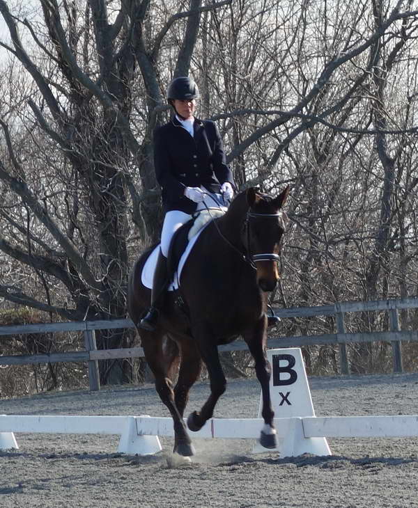 RhosiesFirstShow2014