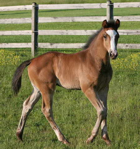 Rouzar 5 weeks