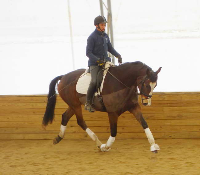 Ruzar with Julio January 2014